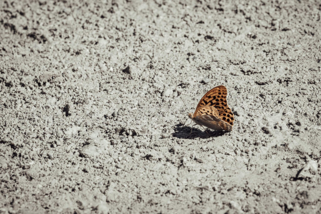 Fabrication et vente de béton prêt-à-l'emploi